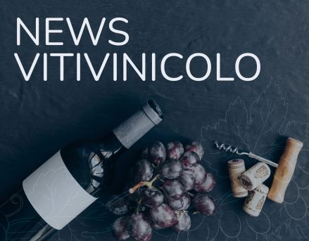 News Vitivinicolo